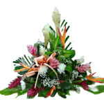 Grâce - Raquette à dominante tropicale