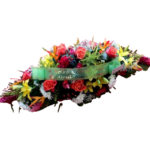 Pensée - Raquette colorée