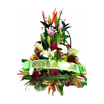 Honneur - Raquette en hauteur