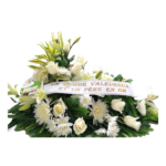 Immaculée - Raquette